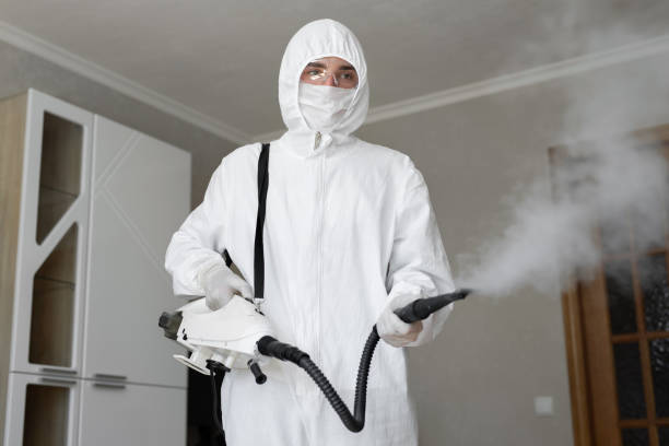 Best Asbestos and Lead Testing During Mold Inspection  in Discovery Harbour, HI